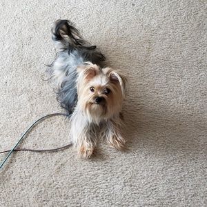 Meet your Posher, Kelly